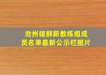 沧州雄狮新教练组成员名单最新公示栏图片