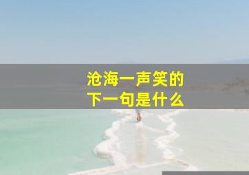 沧海一声笑的下一句是什么