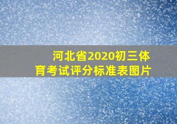 河北省2020初三体育考试评分标准表图片