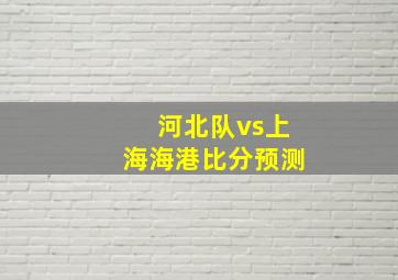 河北队vs上海海港比分预测