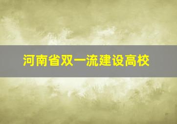 河南省双一流建设高校