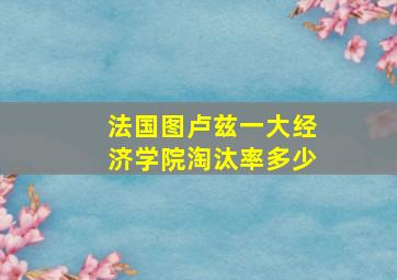 法国图卢兹一大经济学院淘汰率多少