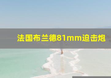 法国布兰德81mm迫击炮