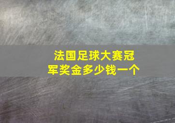 法国足球大赛冠军奖金多少钱一个