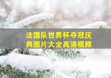 法国队世界杯夺冠庆典图片大全高清视频