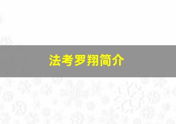 法考罗翔简介