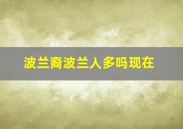 波兰裔波兰人多吗现在