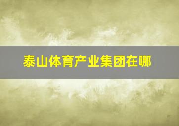 泰山体育产业集团在哪