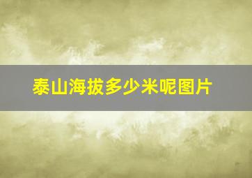 泰山海拔多少米呢图片