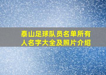 泰山足球队员名单所有人名字大全及照片介绍