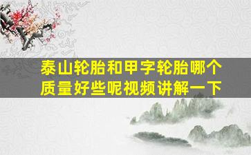 泰山轮胎和甲字轮胎哪个质量好些呢视频讲解一下