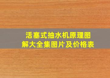 活塞式抽水机原理图解大全集图片及价格表