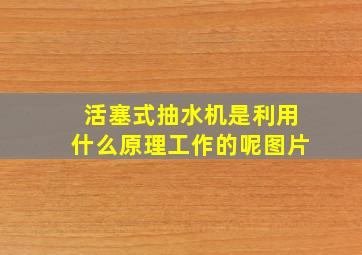 活塞式抽水机是利用什么原理工作的呢图片