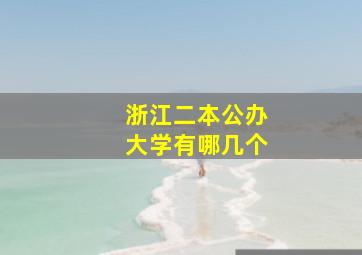 浙江二本公办大学有哪几个