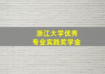 浙江大学优秀专业实践奖学金