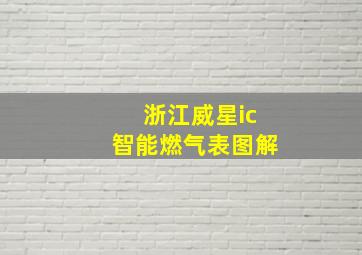 浙江威星ic智能燃气表图解