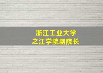 浙江工业大学之江学院副院长