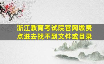 浙江教育考试院官网缴费点进去找不到文件或目录