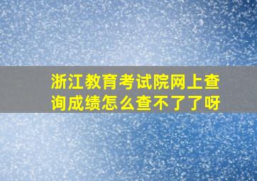 浙江教育考试院网上查询成绩怎么查不了了呀