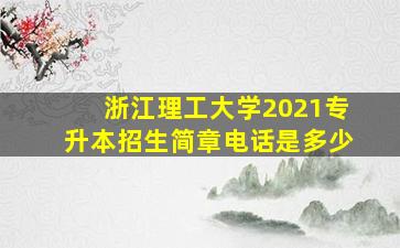 浙江理工大学2021专升本招生简章电话是多少