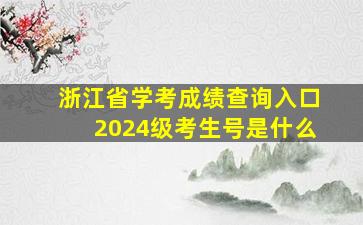 浙江省学考成绩查询入口2024级考生号是什么