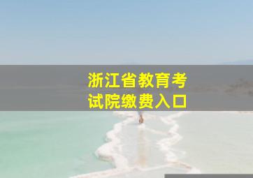 浙江省教育考试院缴费入口