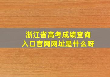 浙江省高考成绩查询入口官网网址是什么呀