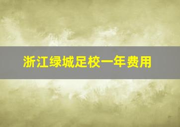 浙江绿城足校一年费用