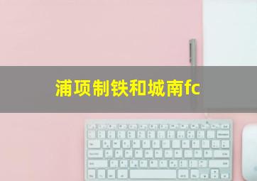 浦项制铁和城南fc