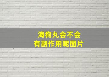 海狗丸会不会有副作用呢图片