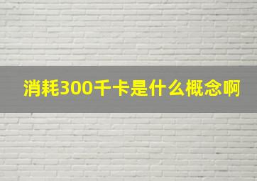 消耗300千卡是什么概念啊