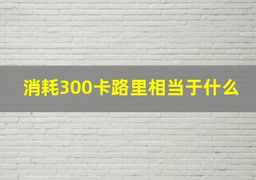 消耗300卡路里相当于什么