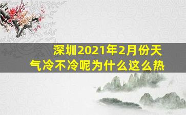 深圳2021年2月份天气冷不冷呢为什么这么热