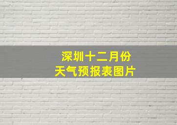 深圳十二月份天气预报表图片