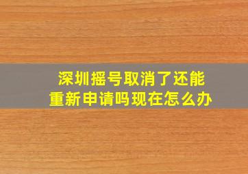 深圳摇号取消了还能重新申请吗现在怎么办