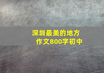 深圳最美的地方作文800字初中