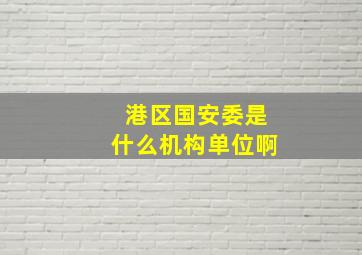 港区国安委是什么机构单位啊