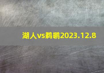 湖人vs鹈鹕2023.12.8