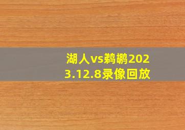 湖人vs鹈鹕2023.12.8录像回放