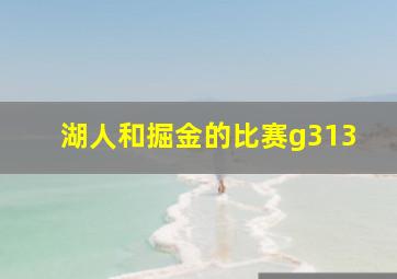 湖人和掘金的比赛g313