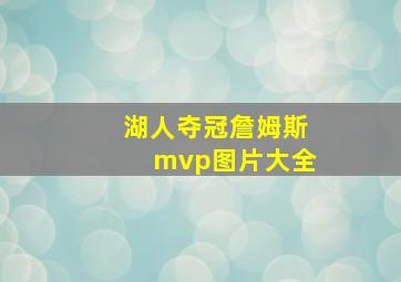 湖人夺冠詹姆斯mvp图片大全