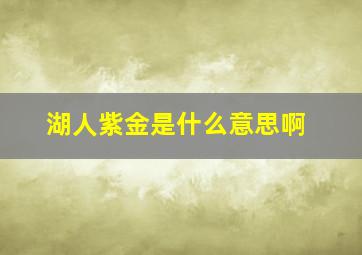 湖人紫金是什么意思啊