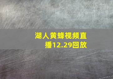 湖人黄蜂视频直播12.29回放