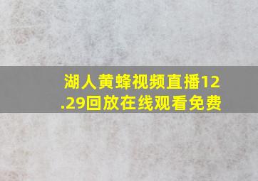 湖人黄蜂视频直播12.29回放在线观看免费