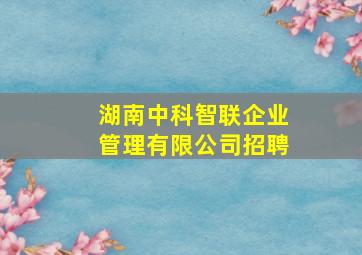 湖南中科智联企业管理有限公司招聘