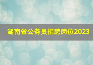 湖南省公务员招聘岗位2023