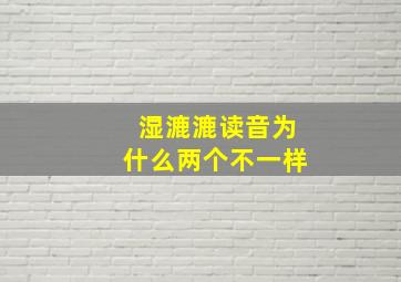 湿漉漉读音为什么两个不一样