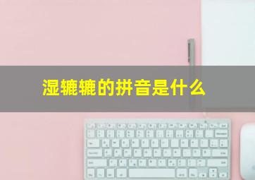 湿辘辘的拼音是什么