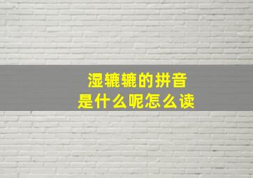 湿辘辘的拼音是什么呢怎么读