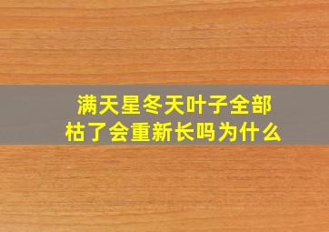 满天星冬天叶子全部枯了会重新长吗为什么